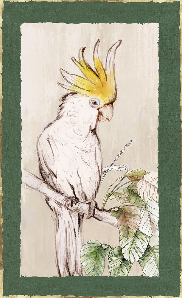 Yellow Cockatoo art print by Eli Jones for $57.95 CAD