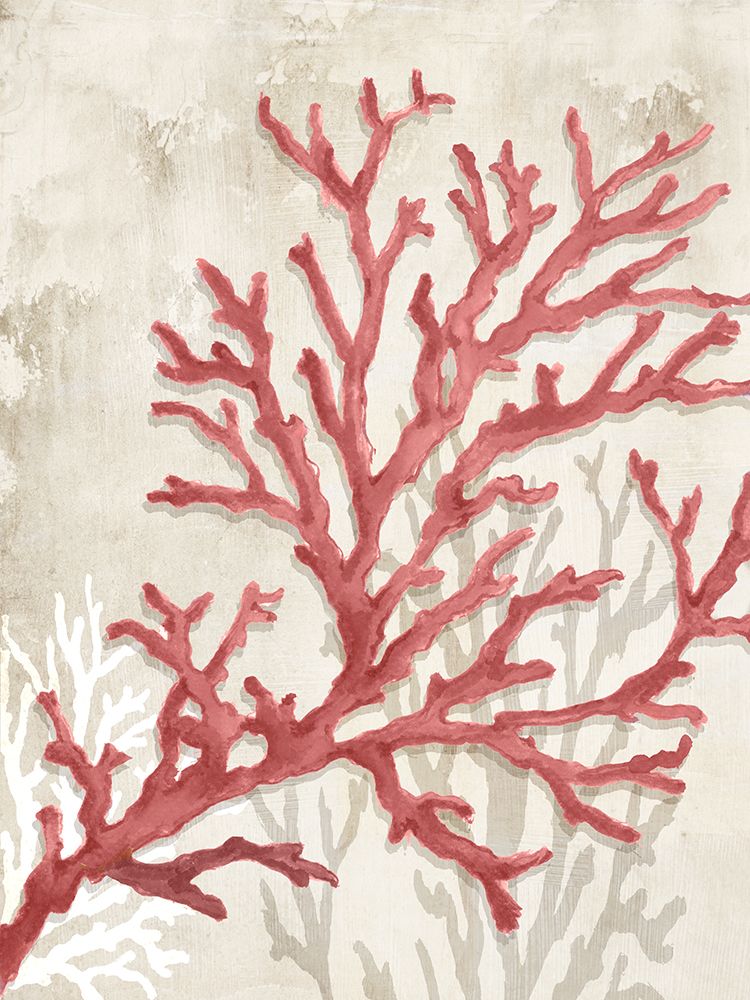Red Coral Reef I art print by Eli Jones for $57.95 CAD