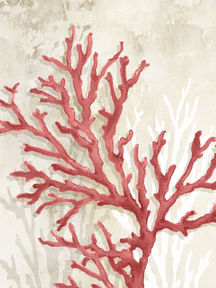 Red Coral Reef II art print by Eli Jones for $57.95 CAD