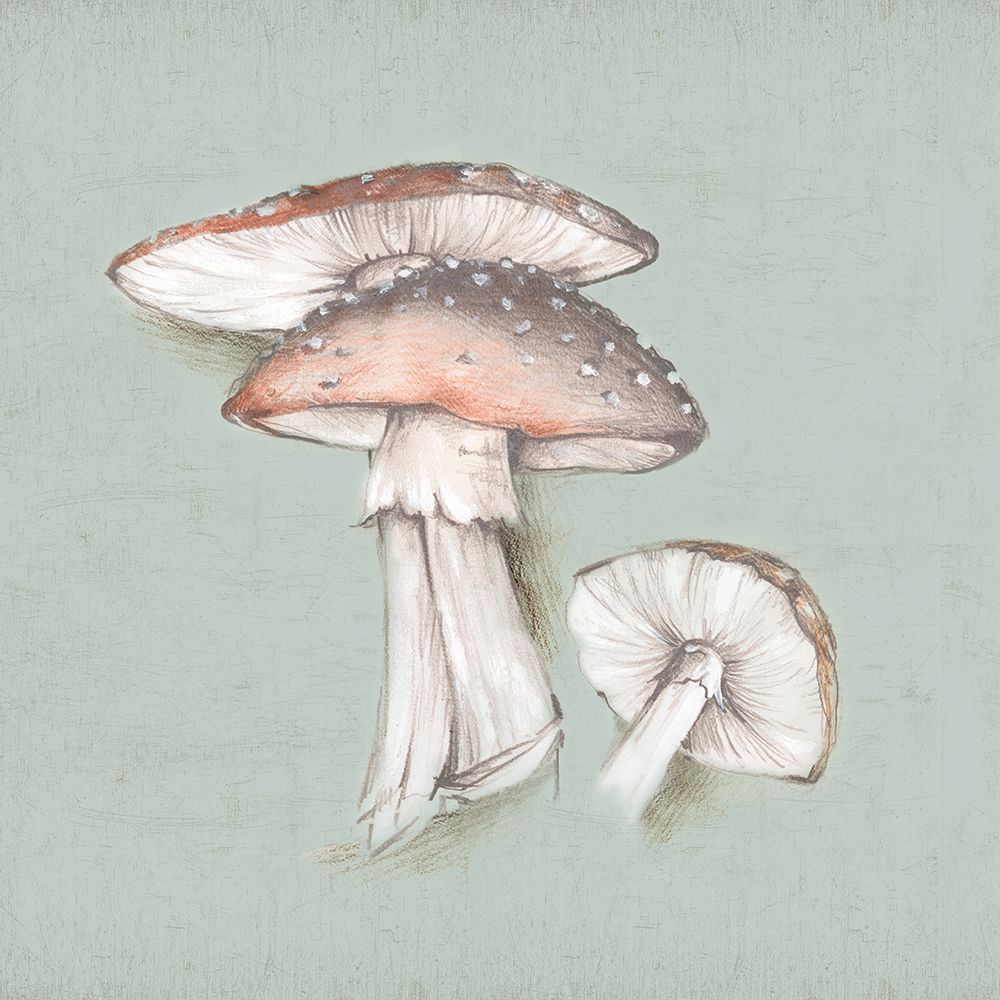 Amanita art print by Eli Jones for $57.95 CAD