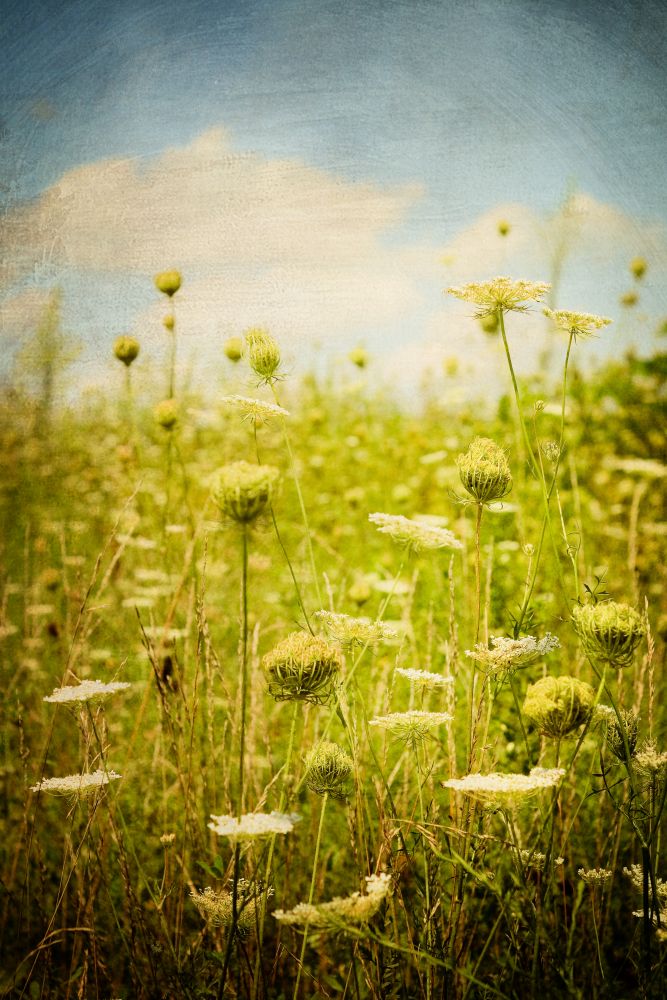 Wheat Field art print by Olivia Joy for $57.95 CAD