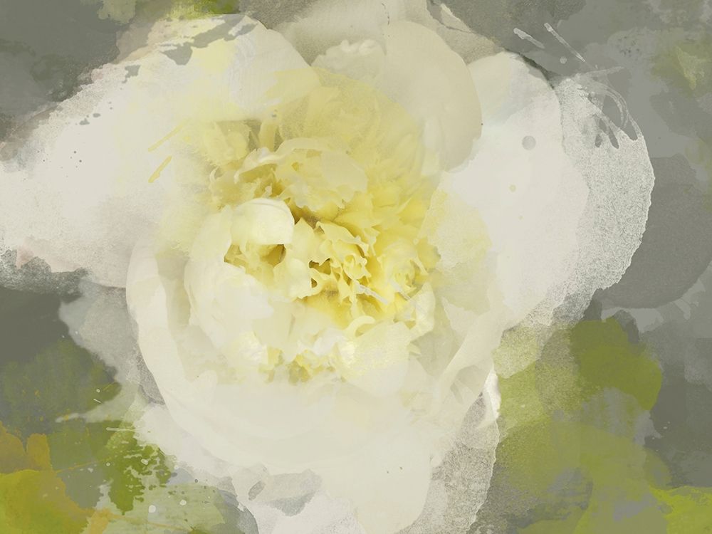 Cream Spring Colors art print by Irena Orlov for $57.95 CAD