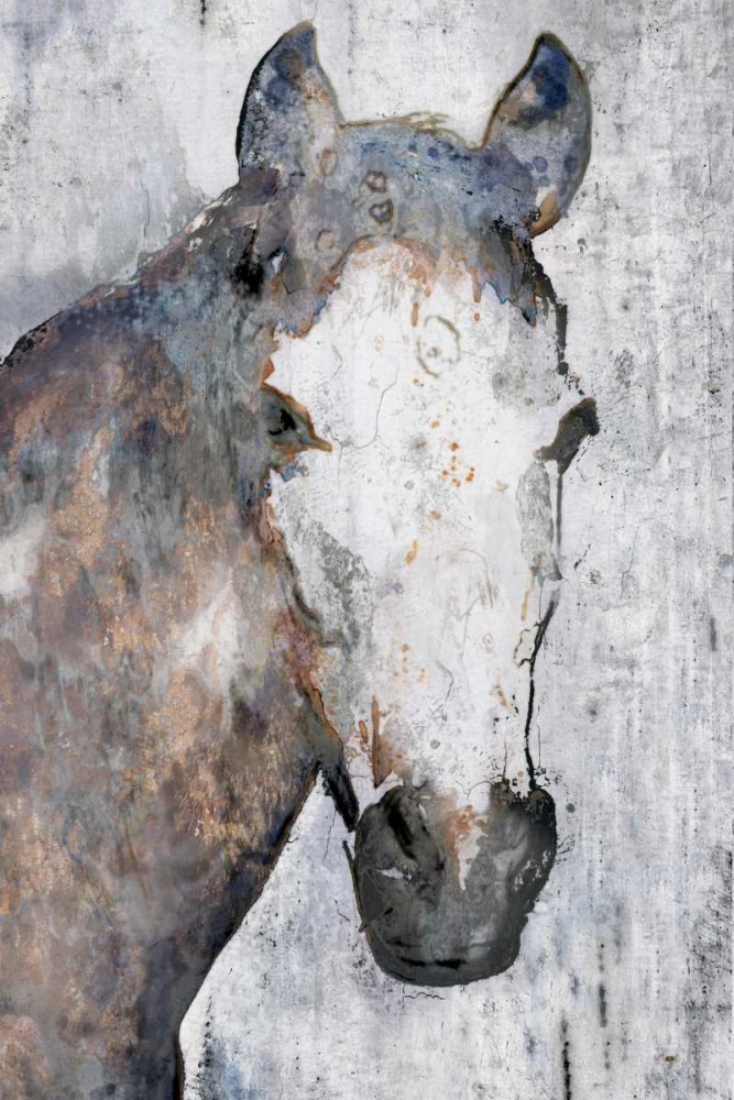 Horse Portrait I art print by Irena Orlov for $57.95 CAD