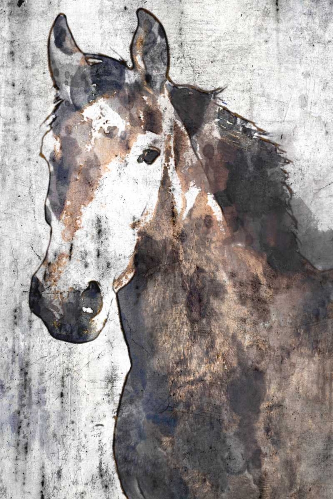 Horse Portrait II art print by Irena Orlov for $57.95 CAD