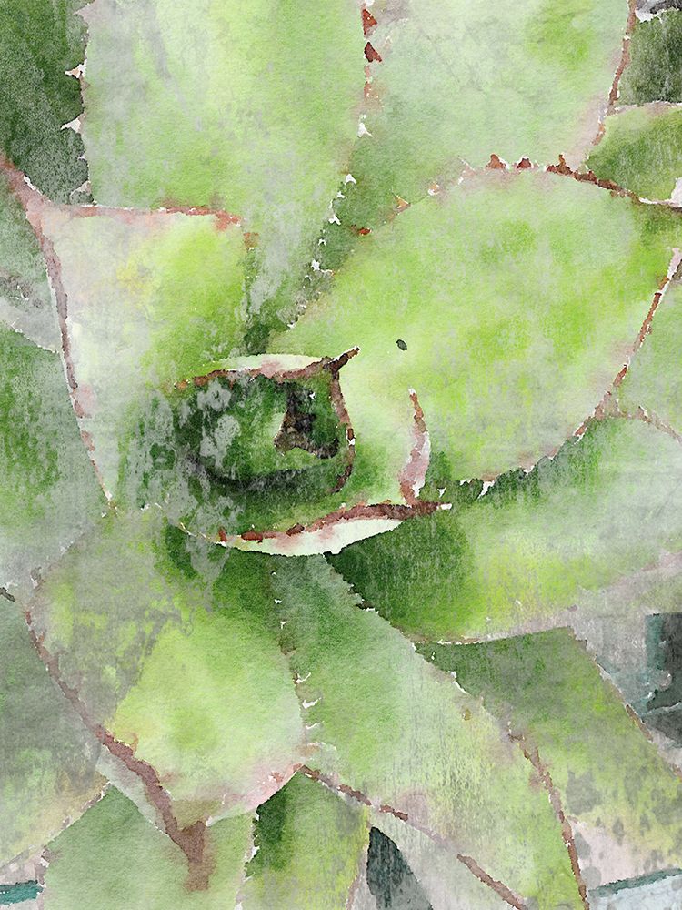 Rustic Green Succulent  art print by Irena Orlov for $57.95 CAD