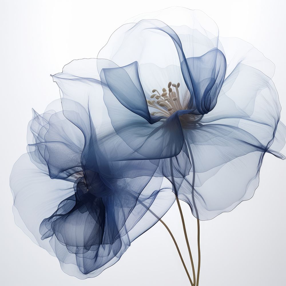 Translucent Blue Poppy Flowers I art print by Irena Orlov for $57.95 CAD
