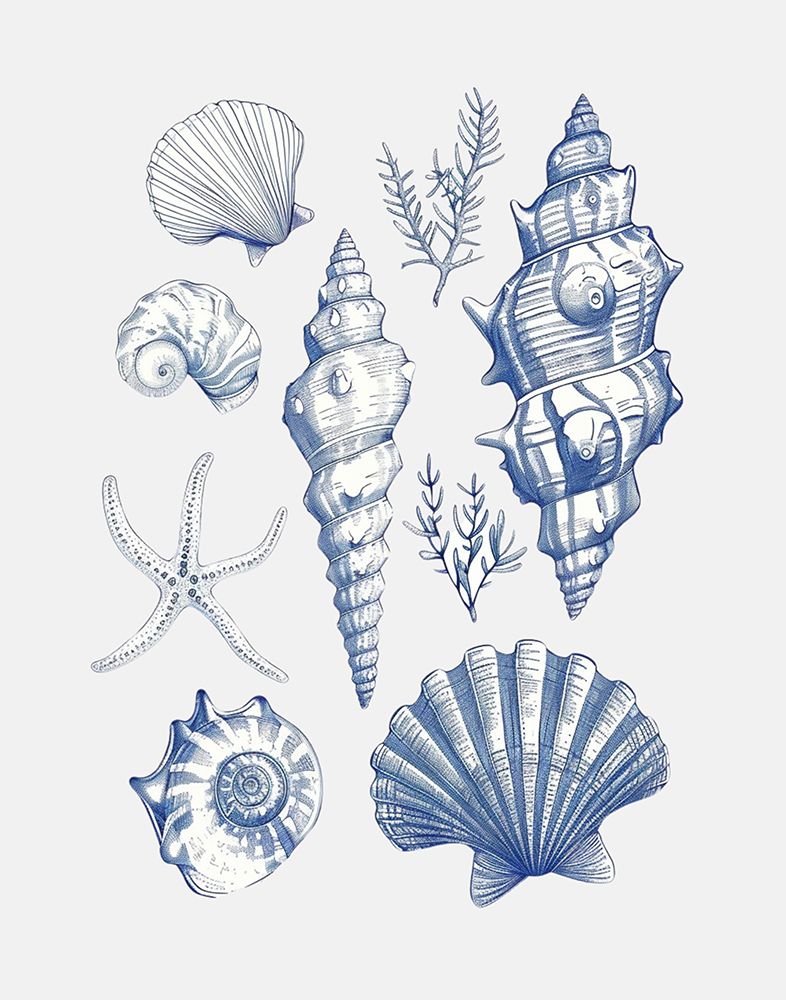 and Dash - Shell Collage art print by 1X for $57.95 CAD