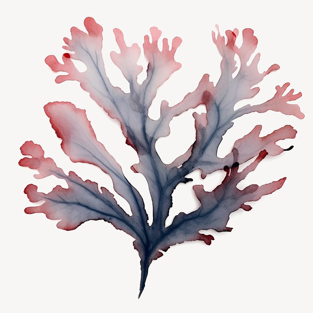 Ocean Blooms II art print by Roozbeh for $57.95 CAD