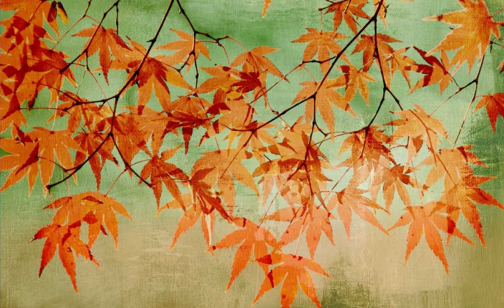 Canopy art print by PI Studio for $57.95 CAD