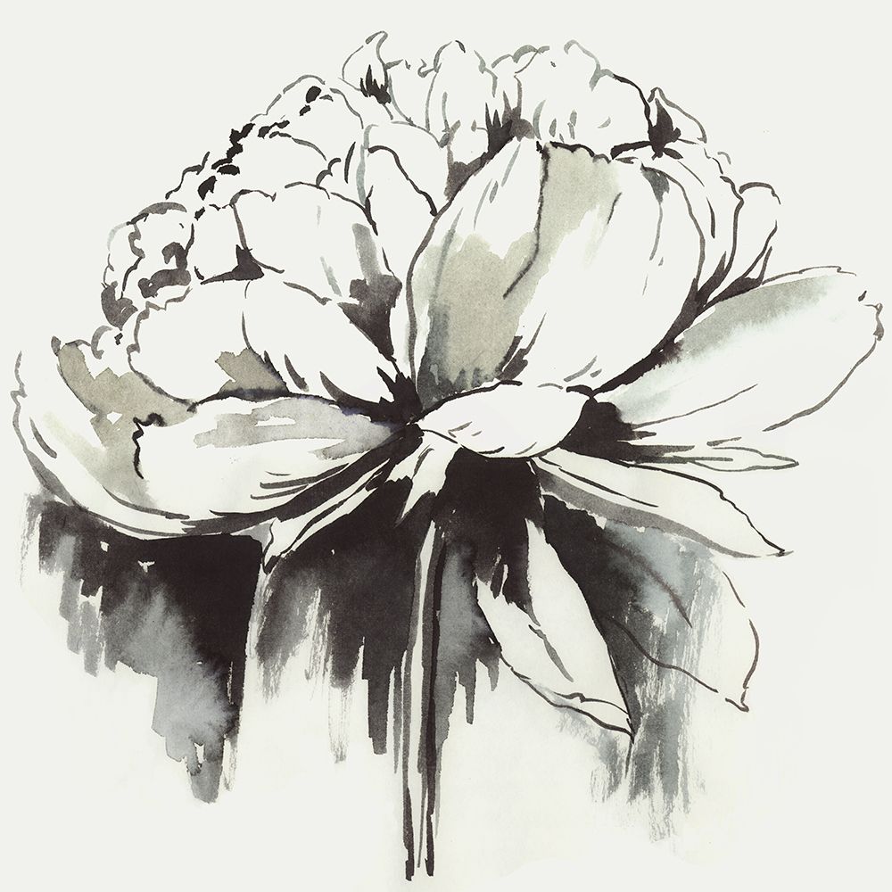 Inky Peonia art print by PI Studio for $57.95 CAD