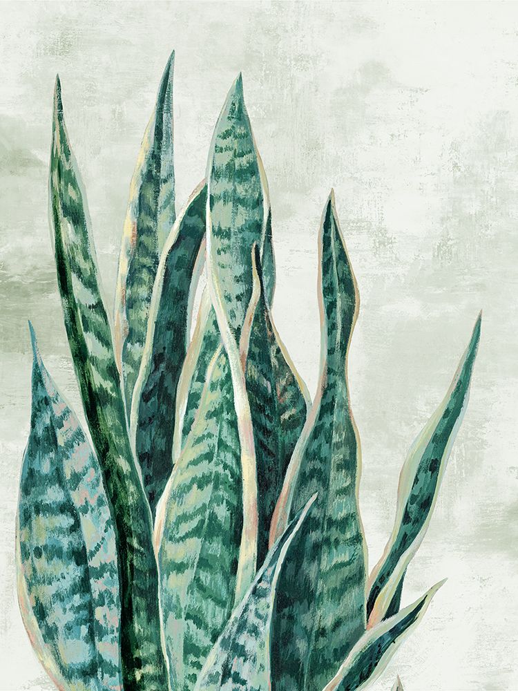 Reaching Snake Plant art print by PI Studio for $57.95 CAD