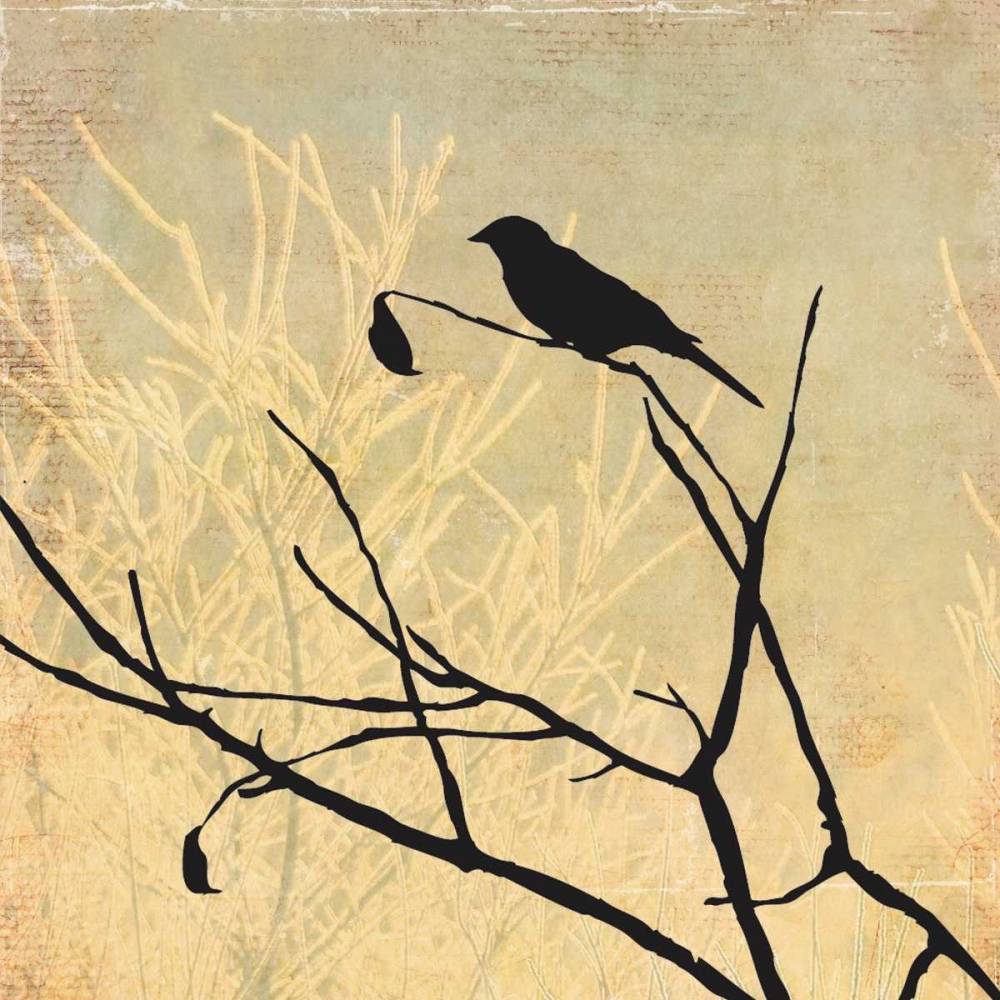 Perched art print by Allison Pearce for $57.95 CAD