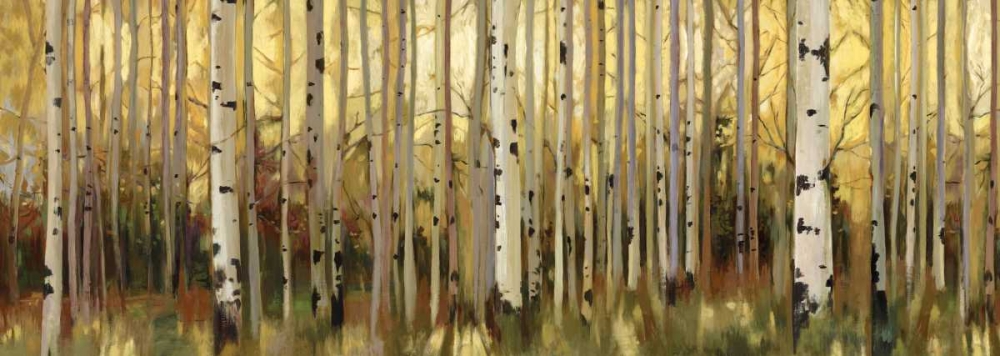 Forest Light art print by Allison Pearce for $57.95 CAD
