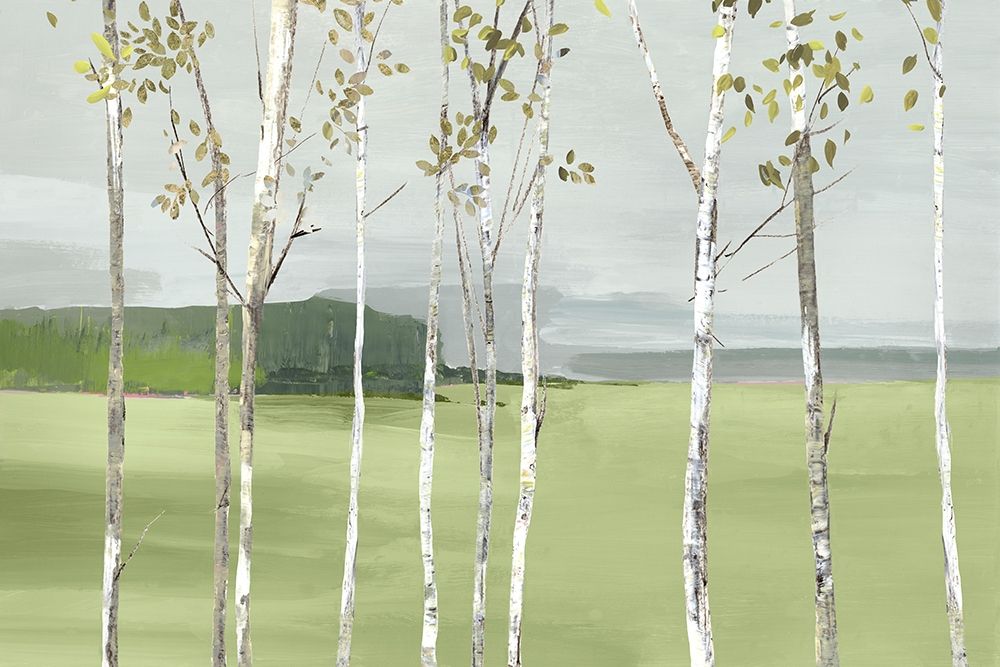 Birch Valley art print by Allison Pearce for $57.95 CAD