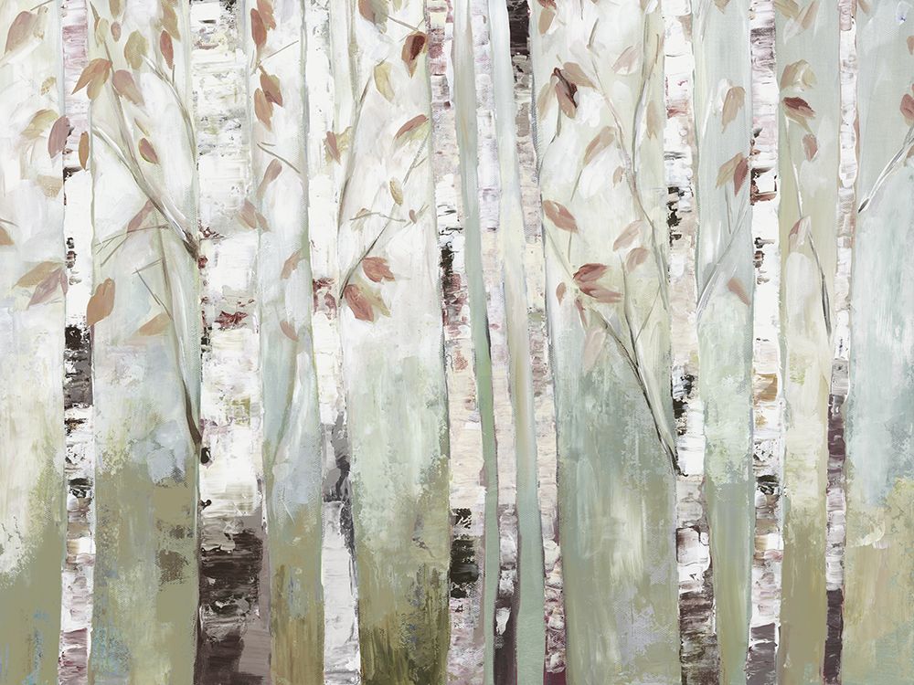 White Birch Forest art print by Allison Pearce for $57.95 CAD