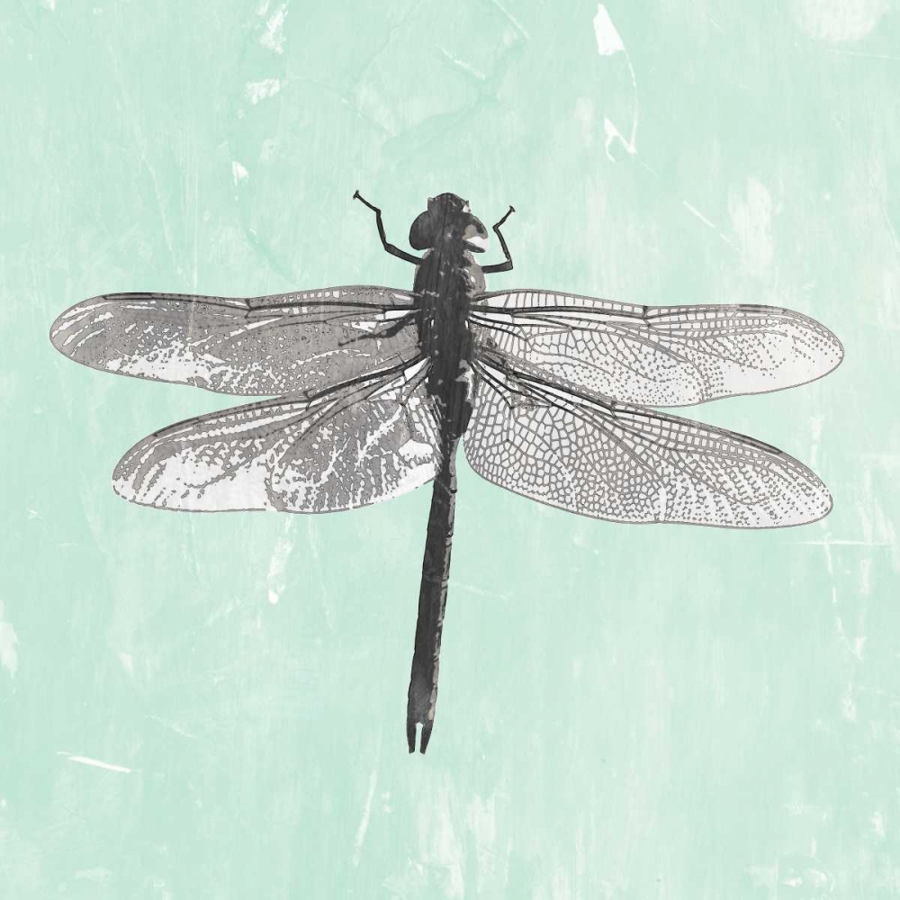 Dragonfly II art print by PI Galerie for $57.95 CAD