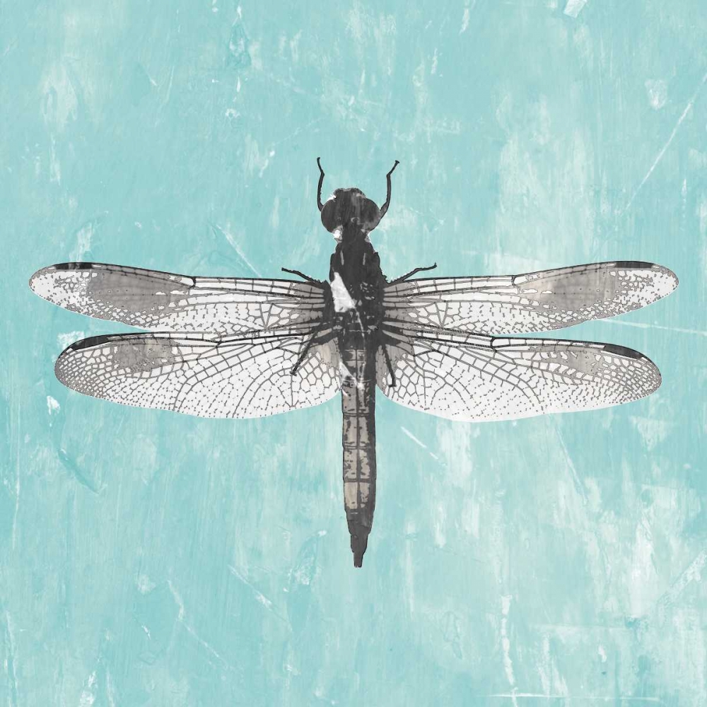 Dragonfly III art print by PI Galerie for $57.95 CAD