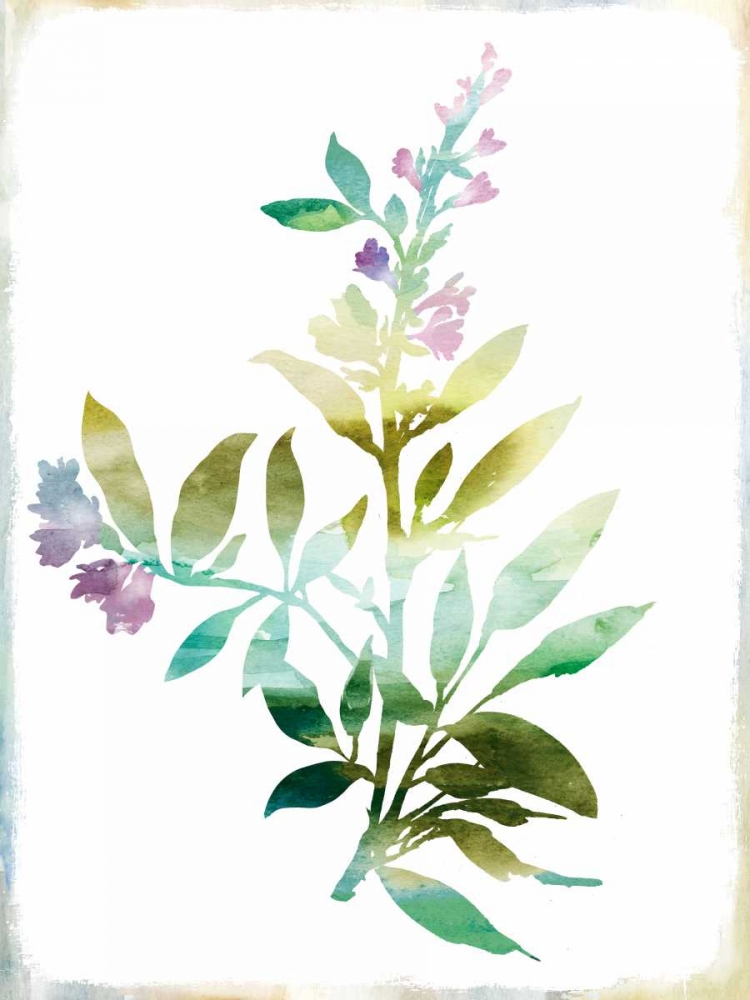 Summer Botanical III art print by PI Galerie for $57.95 CAD