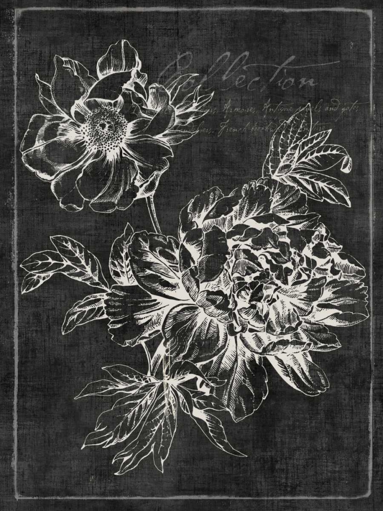 Black Botanical I art print by PI Galerie for $57.95 CAD