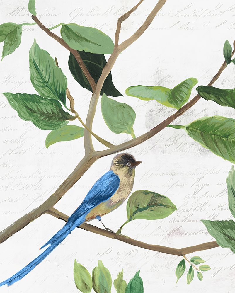 Spring Bird II art print by PI Studio for $57.95 CAD