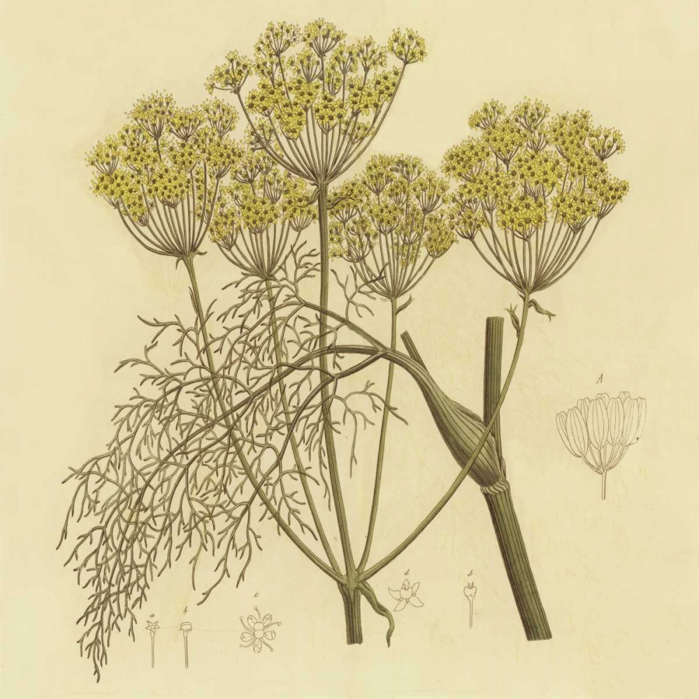 Yellow Weeds art print by PI Collection for $57.95 CAD