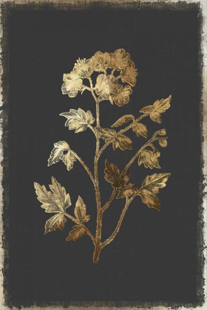 Cut Leaved Phacelia art print by PI Collection for $57.95 CAD