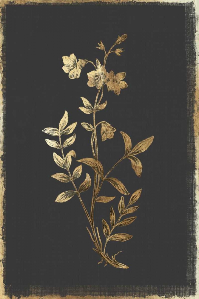 Greek Valerian art print by PI Collection for $57.95 CAD