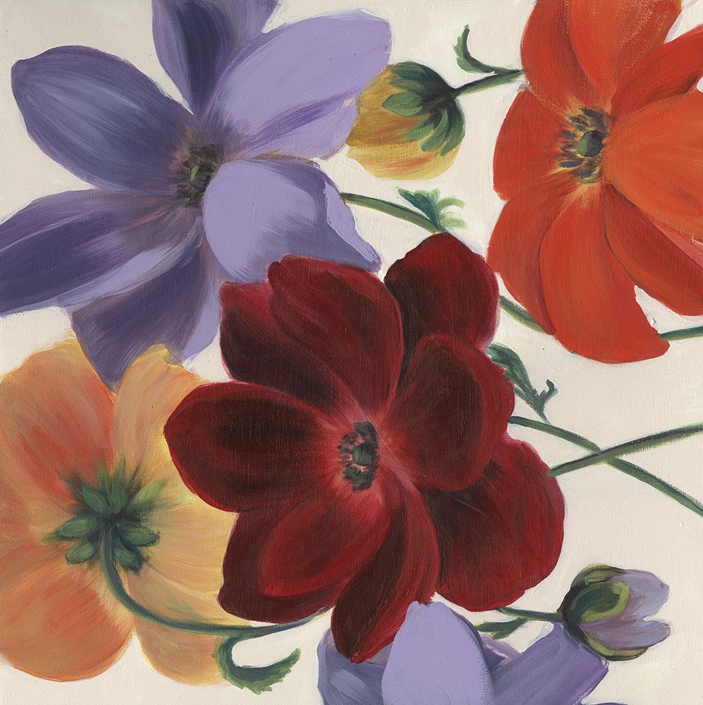 Lively II art print by Sandra Iafrate for $57.95 CAD