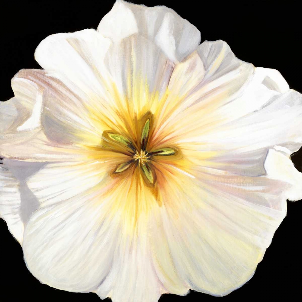 White Bloom I art print by Sandra Iafrate for $57.95 CAD