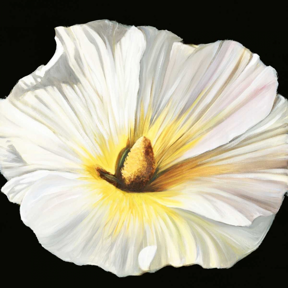White Bloom II art print by Sandra Iafrate for $57.95 CAD