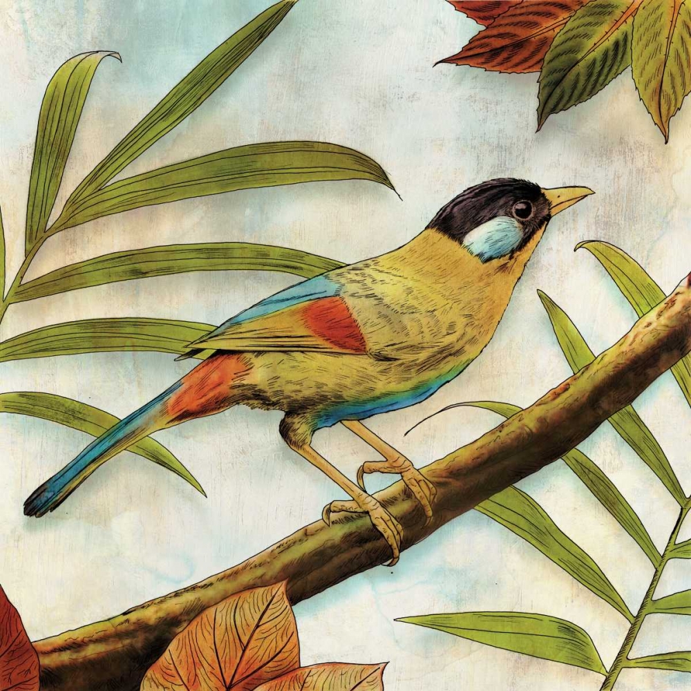 Jungle Bird I art print by Edward Selkirk for $57.95 CAD