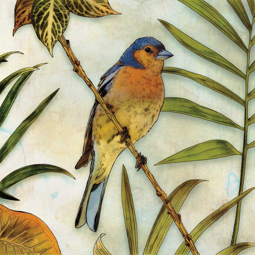 Jungle Bird II art print by Edward Selkirk for $57.95 CAD