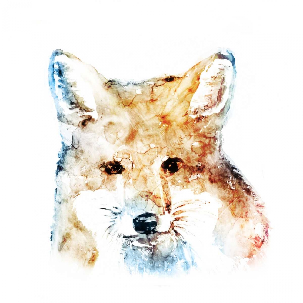 Watercolour Fox art print by Edward Selkirk for $57.95 CAD