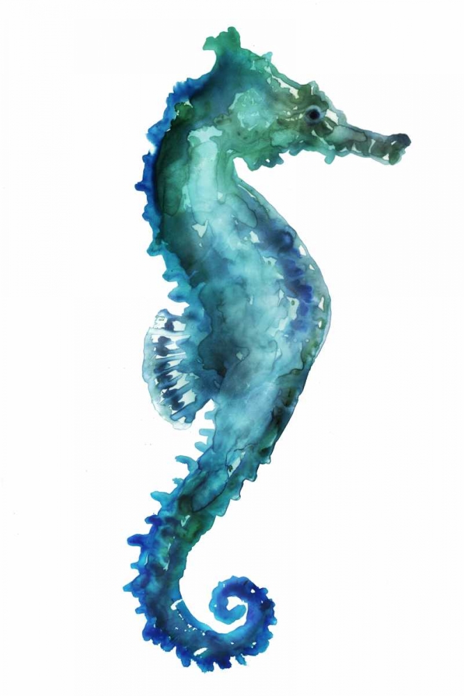 Sea Horse art print by Edward Selkirk for $57.95 CAD