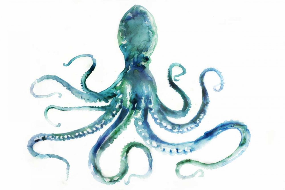 Octopus art print by Edward Selkirk for $57.95 CAD
