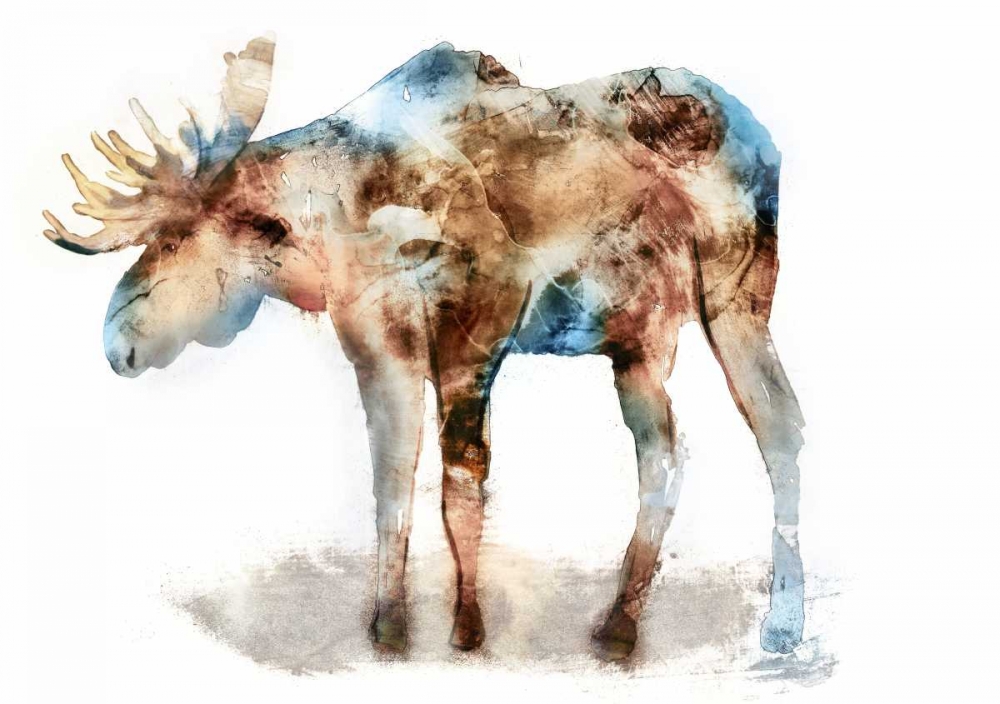 Moose art print by Edward Selkirk for $57.95 CAD