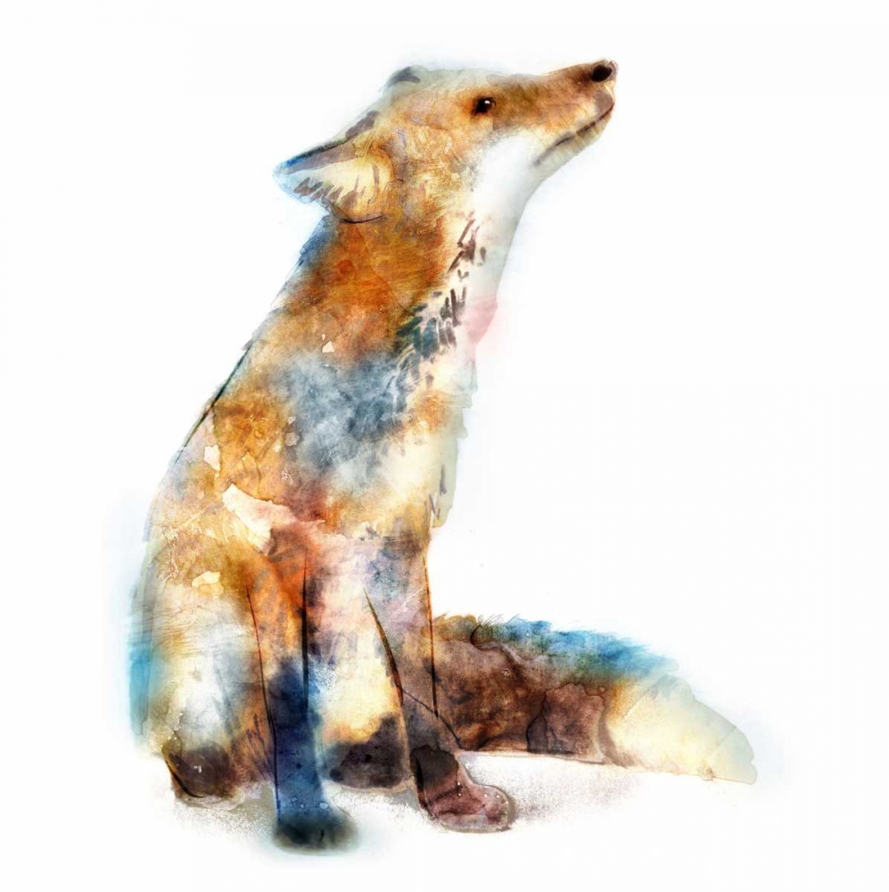 Fox art print by Edward Selkirk for $57.95 CAD