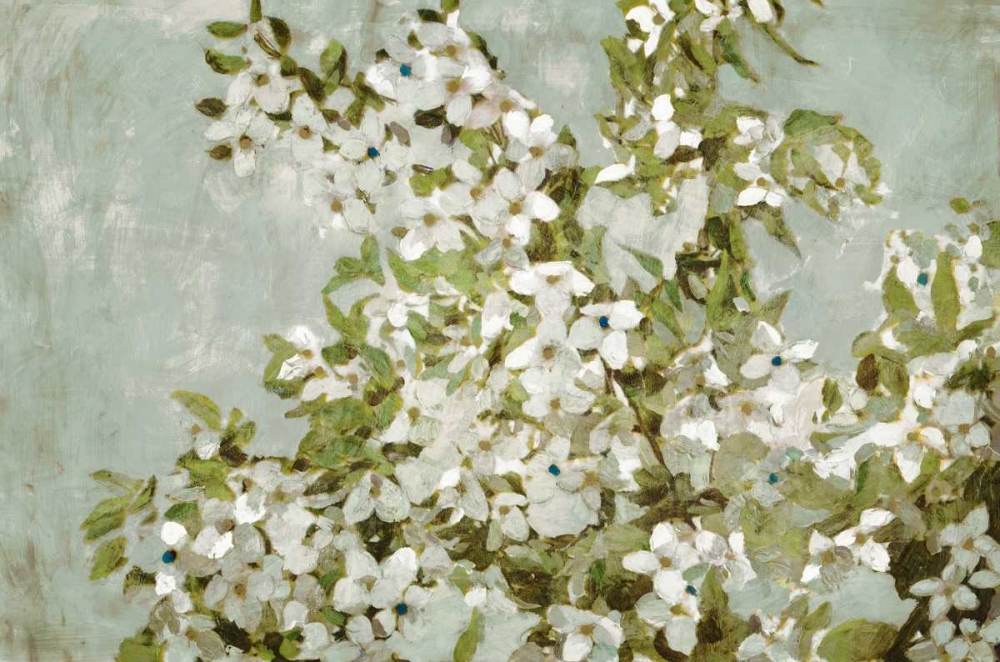 Mint Blossom art print by Edward Selkirk for $57.95 CAD