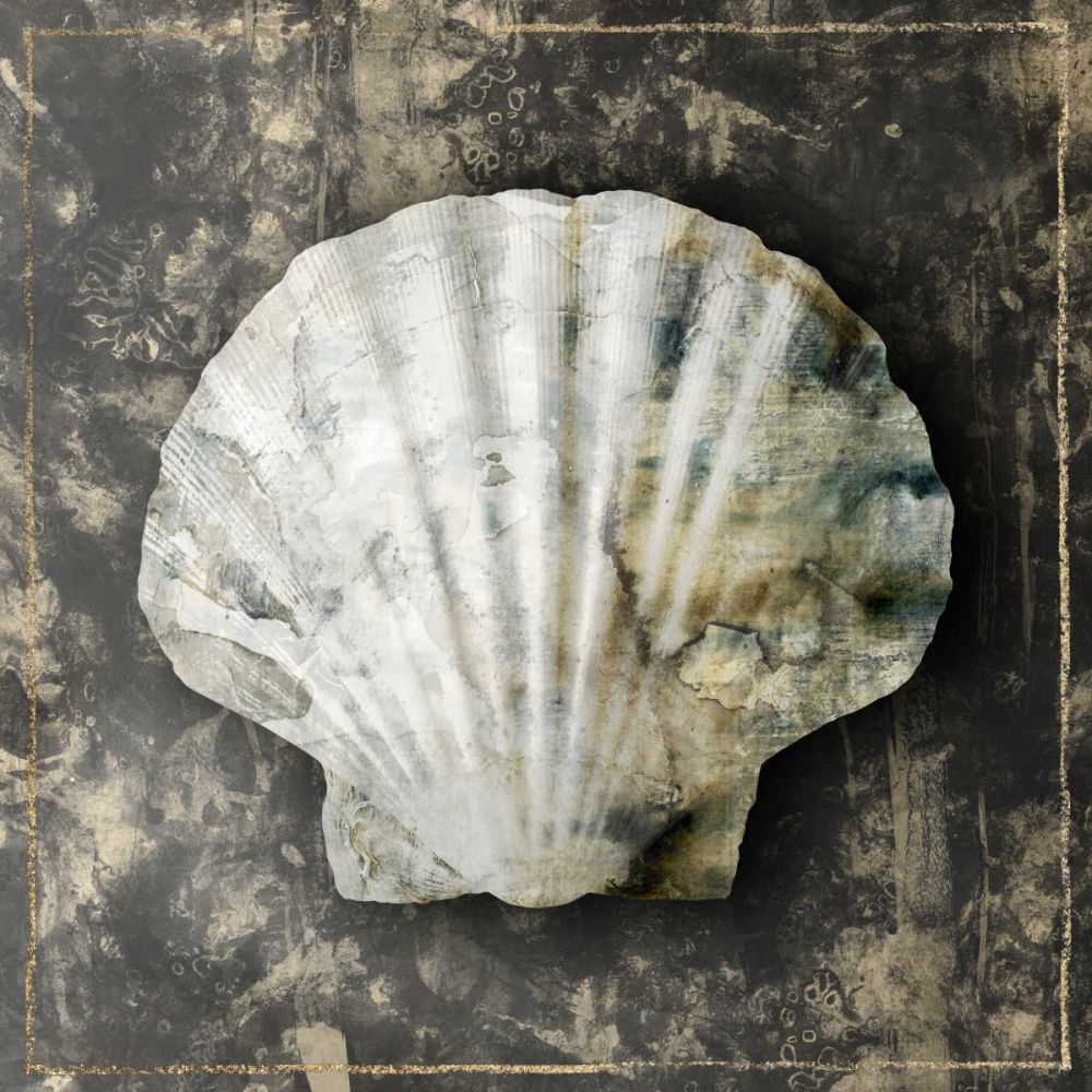 Marble Shell Series IV art print by Edward Selkirk for $57.95 CAD