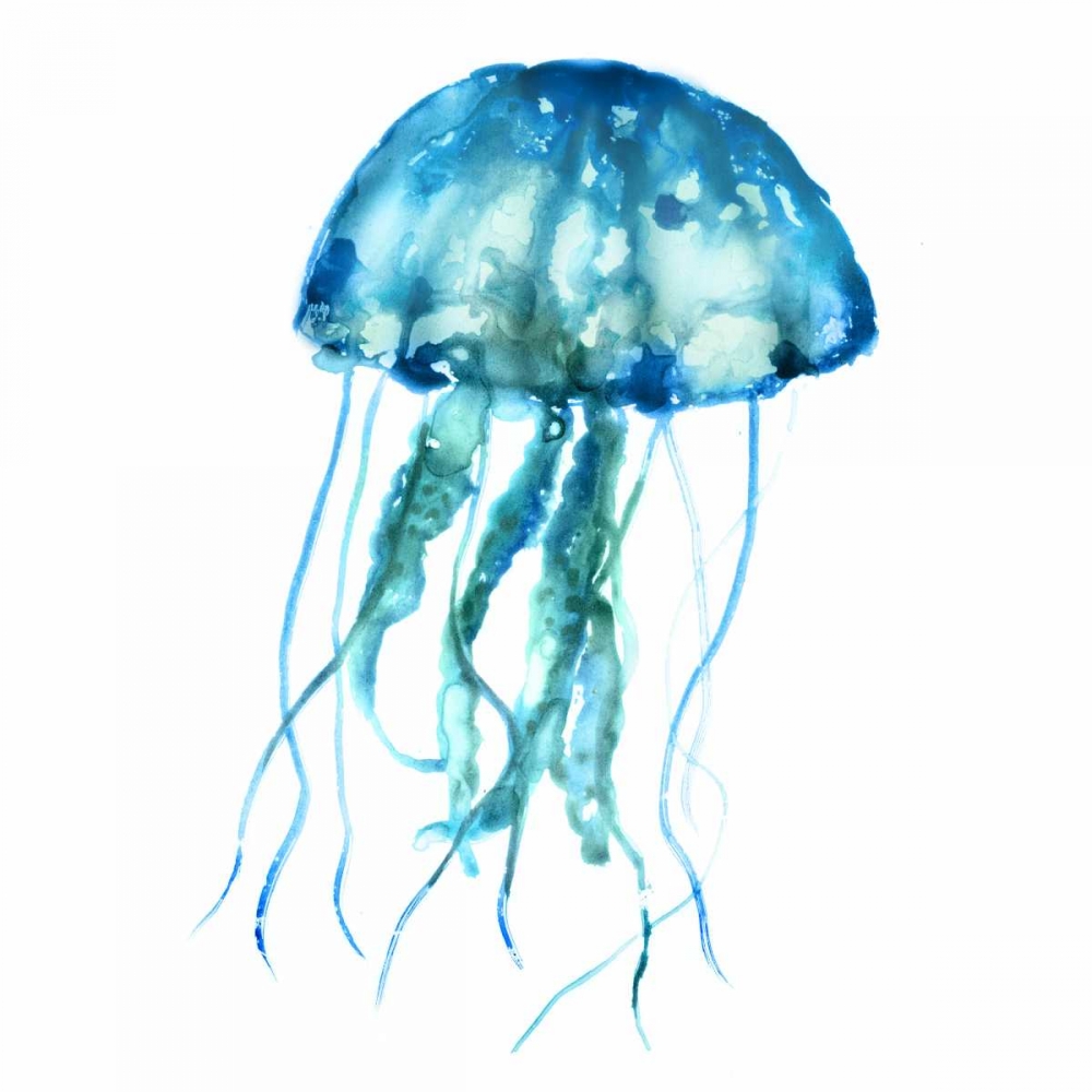 Jellyfish art print by Edward Selkirk for $57.95 CAD