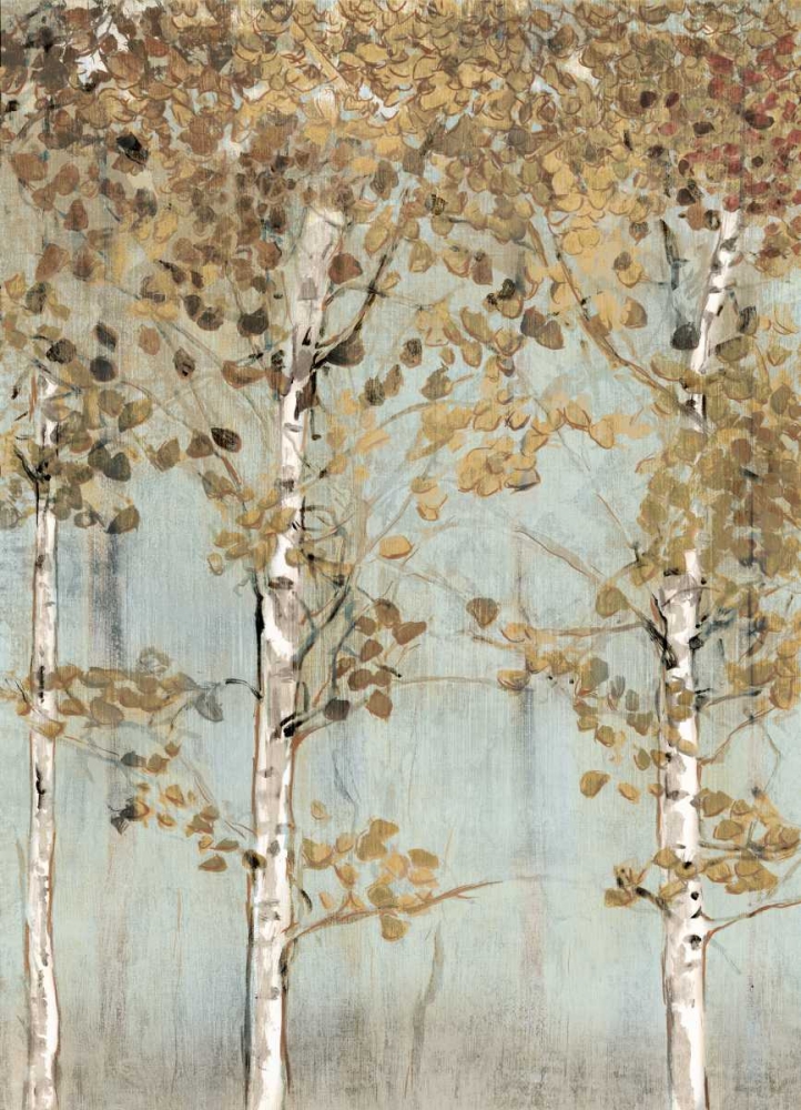 Soft Birch art print by Edward Selkirk for $57.95 CAD