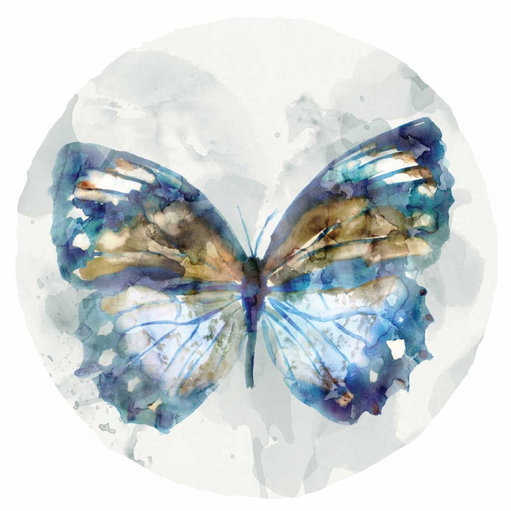 Indigo Butterfly I art print by Edward Selkirk for $57.95 CAD