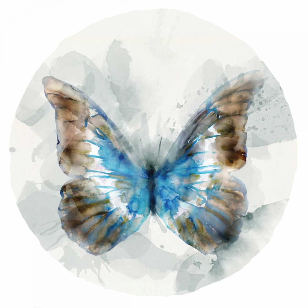 Indigo Butterfly II art print by Edward Selkirk for $57.95 CAD