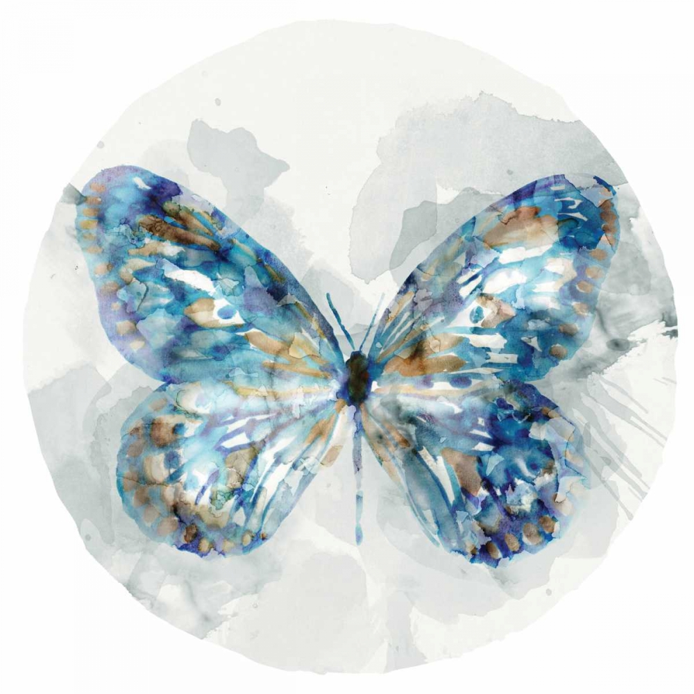 Indigo Butterfly III art print by Edward Selkirk for $57.95 CAD