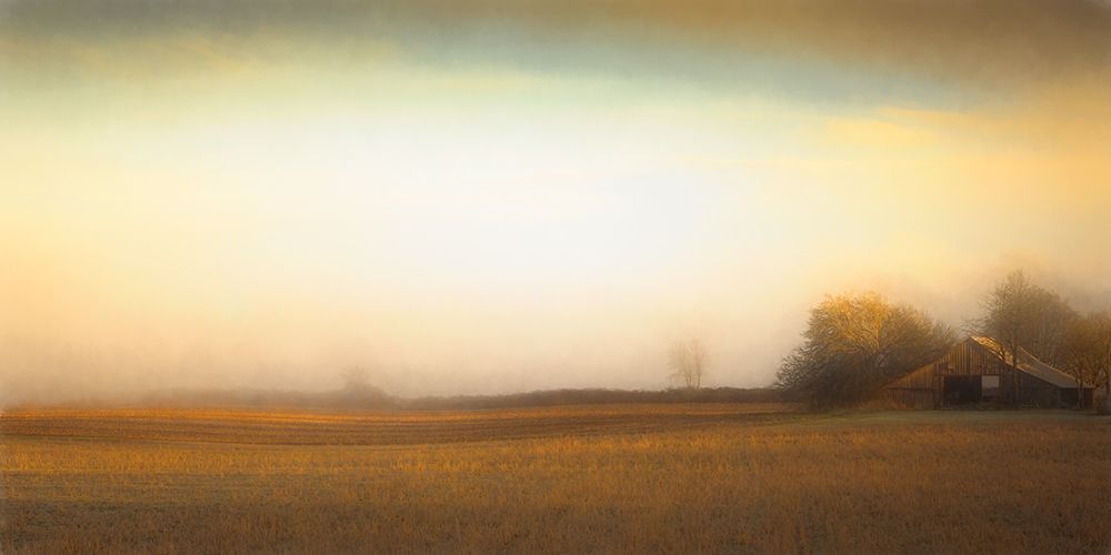 Barn on a Foggy Morning art print by Don Schwartz for $57.95 CAD