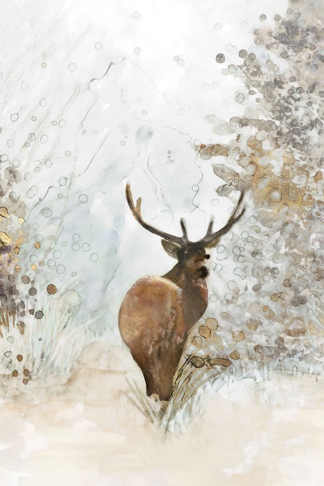 Grand Elk I  art print by Stellar Design Studio  for $57.95 CAD