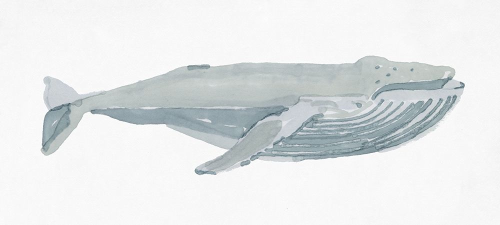Humpback Whale I art print by Stellar Design Studio for $57.95 CAD