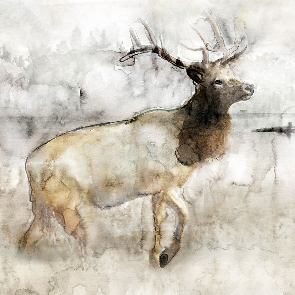 Mountain Elk I art print by Stellar Design Studio for $57.95 CAD