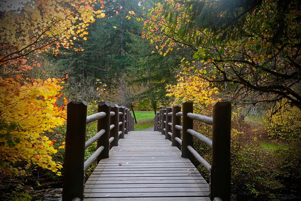 Autumns Bridge art print by Susan Vizvary Photography for $57.95 CAD