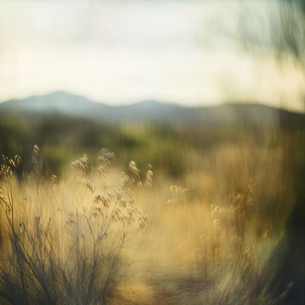 Dreamscape Land art print by Sacha Woodward for $57.95 CAD